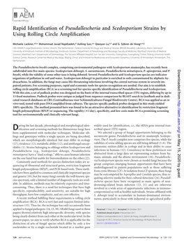 Rapid Identification of Pseudallescheria And