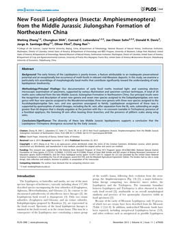 New Fossil Lepidoptera (Insecta: Amphiesmenoptera) from the Middle Jurassic Jiulongshan Formation of Northeastern China