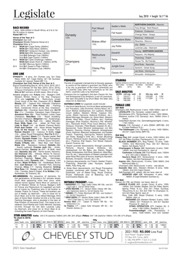 Legislate Bay, 2010 • Height 16.11/2 Hh