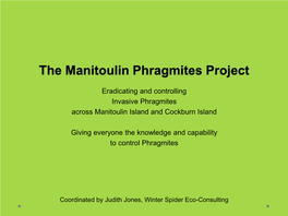 The Manitoulin Phragmites Project