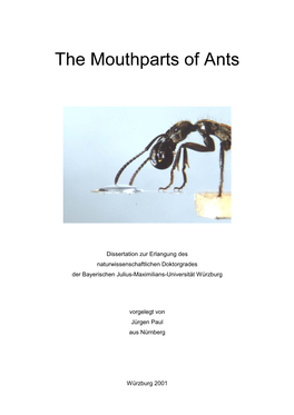 Dissertation Zur Erlangung Des Naturwissenschaftlichen Doktorgrades Der Bayerischen Julius-Maximilians-Universität Würzburg Vo