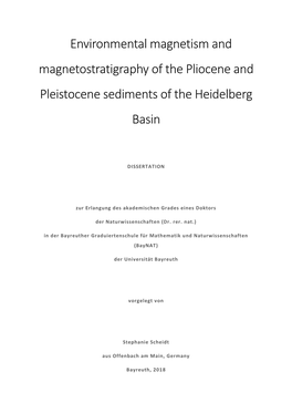 Environmental Magnetism and Magnetostratigraphy of the Pliocene and Pleistocene Sediments of the Heidelberg Basin