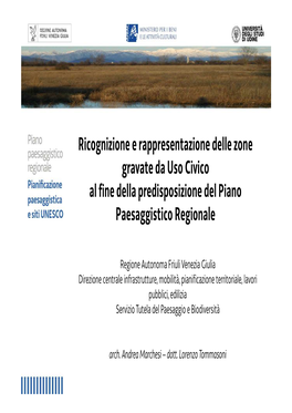 Ricognizione E Rappresentazione Delle Zone Gravate Da Uso Civico Al Fine Della Predisposizione Del Piano Paesaggistico Regionale