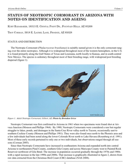 Status of Neotropic Cormorant in Arizona with Notes on Identification and Ageing