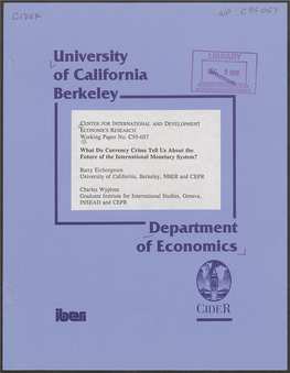 What Do Currency Crises Tell Us About the Future of the International Monetary System?