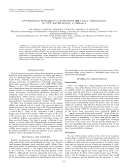 An Enigmatic (Synapsid?) Tooth from the Early Cretaceous of New South Wales, Australia