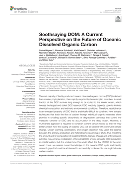 A Current Perspective on the Future of Oceanic Dissolved Organic Carbon