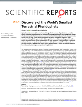 Discovery of the World's Smallest Terrestrial Pteridophyte