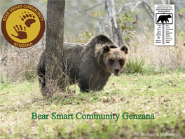 Bear Smart Community Pettorano – Rocca