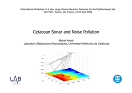 Cetacean Sonar and Noise Pollution