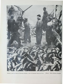 Salmon Catch on Deck of Floating Cannery, Part of Japanese Deep-Sea Fleet