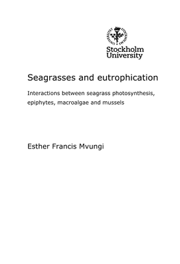 Seagrasses and Eutrophication