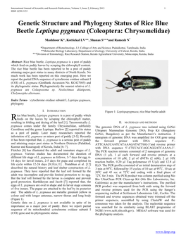 Genetic Structure and Phylogeny Status of Rice Blue Beetle Leptispa Pygmaea (Coleoptera: Chrysomelidae)