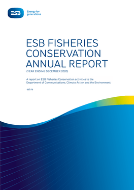 Esb Fisheries Conservation Annual Report (Year Ending December 2020)