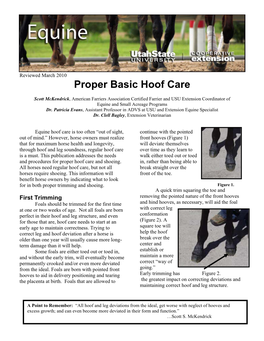 Proper Basic Hoof Care