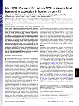 Microrna-15A and -16-1 Act Via MYB to Elevate Fetal Hemoglobin Expression in Human Trisomy 13