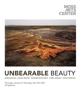 Unbearable Beauty James Balog Daniel Beltrá Edward Burtynsky Chris Jordan Steve Norton