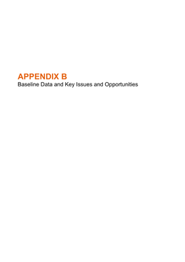 APPENDIX B Baseline Data and Key Issues and Opportunities