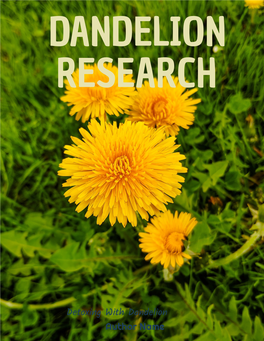 Dandelion Research