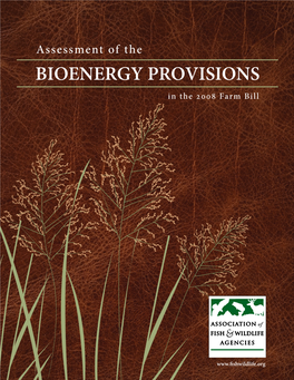 Assessment of the BIOENERGY PROVISIONS in the 2008 Farm Bill