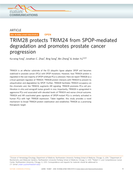 TRIM28 Protects TRIM24 from SPOP-Mediated Degradation and Promotes Prostate Cancer Progression