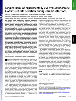 Tangled Bank of Experimentally Evolved Burkholderia Biofilms