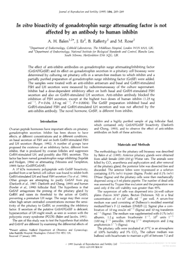 In Vitro Bioactivity of Gonadotrophin Surge Attenuating Factor Is Not Affected by an Antibody to Human Inhibin A