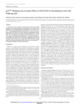 P14arf Modulates the Cytolytic Effect of ONYX-015 in Mesothelioma Cells with Wild-Type P53