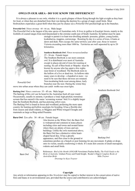 Owls in Our Area - Do You Know the Difference?