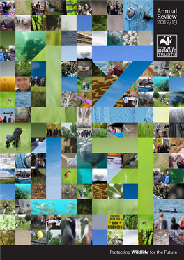 Annual Review 2012/13