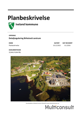 Planbeskrivelse Iveland Kommune