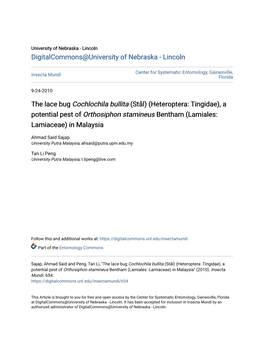 The Lace Bug Cochlochila Bullita (Stål) (Heteroptera: Tingidae), a Potential Pest of Orthosiphon Stamineus Bentham (Lamiales: Lamiaceae) in Malaysia