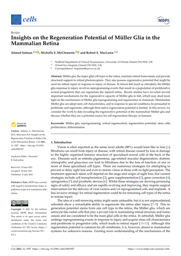 Insights on the Regeneration Potential of Müller Glia in the Mammalian Retina