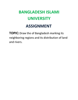 Bangladesh Islami University Assignment