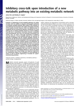 Inhibitory Cross-Talk Upon Introduction of a New Metabolic Pathway Into an Existing Metabolic Network