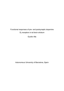 And Postsynaptic Dopamine D2 Receptors in Rat Brain Striatum