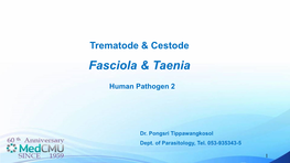 Fasciola & Taenia