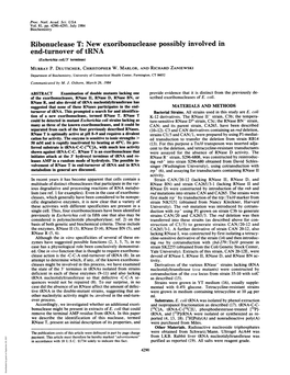 Ribonuclease T:New Exoribonuclease Possibly Involved in End-Turnover