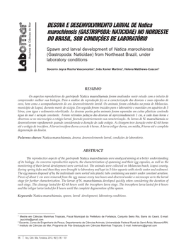 Desova E Desenvolvimento Larval De Natica Marochiensis (Gastropoda: Naticidae) No Nordeste Do Brasil, Sob Condições De Laboratório