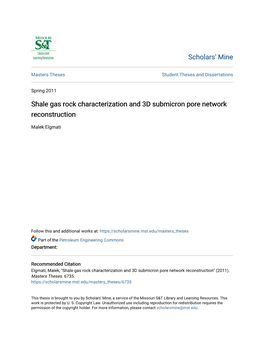 Shale Gas Rock Characterization and 3D Submicron Pore Network Reconstruction