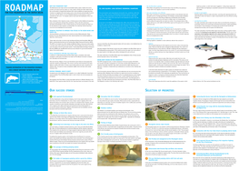 Roadmap for Fish Migration in the Dutch Delta