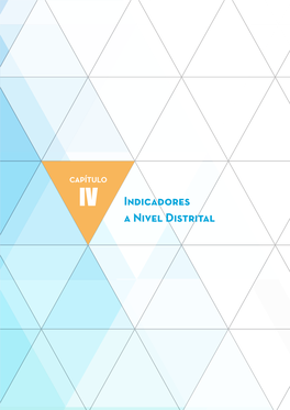 IV. Indicadores a Nivel Distrital