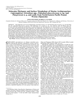 Molecular Phylogeny and Surface Morphology of Marine Archigregarines (Apicomplexa), Selenidium Spp., Filipodium Phascolosomae N