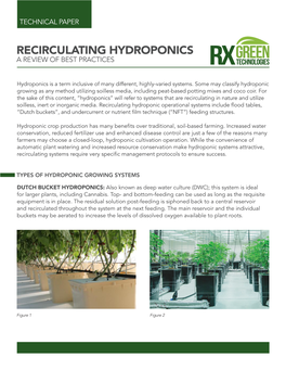 Rxgreentechnologies.Com/Uploads/6/1/0/9/61090687/Nutrientantagonism.Pdf)