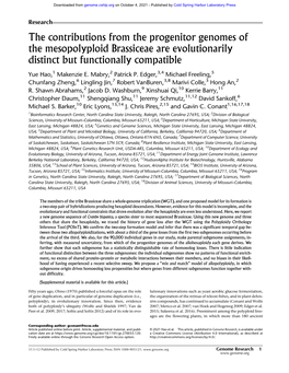 The Contributions from the Progenitor Genomes of the Mesopolyploid Brassiceae Are Evolutionarily Distinct but Functionally Compatible