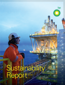 BP Sustainability Report 2016 1 Our Key Issues