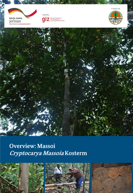 Cryptocarya Massoiakosterm