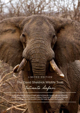 The David Sheldrick Wildlife Trust Intimate Safari