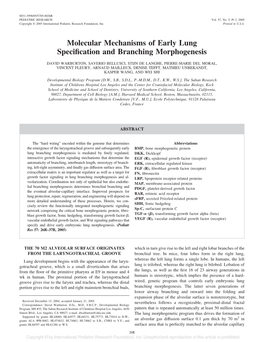 Molecular Mechanisms of Early Lung Specification and Branching