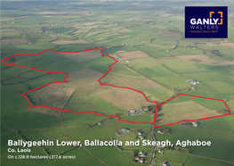 Ballygeehin Lower, Ballacolla and Skeagh, Aghaboe Co